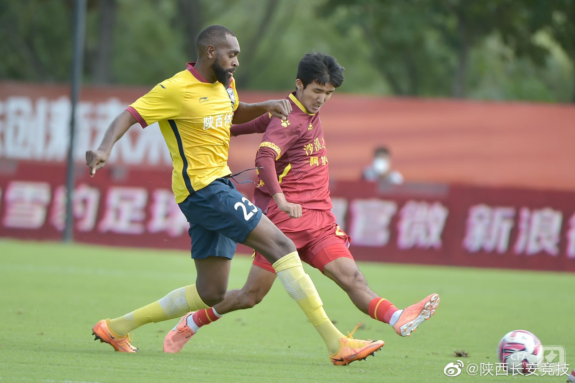 新疆天山雪豹取胜，外援展现强大实力