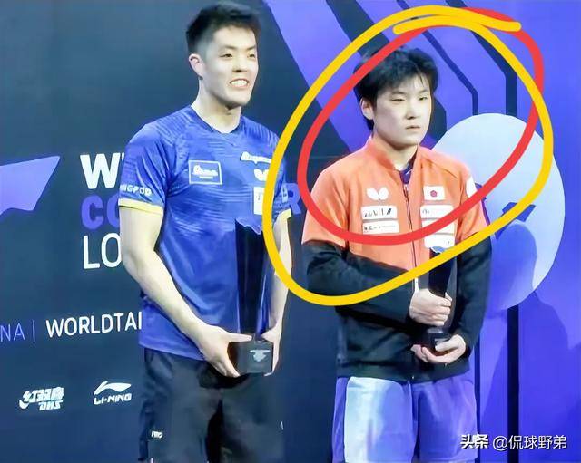 韩国队逆转德国队，张本智和统治全场的简单介绍